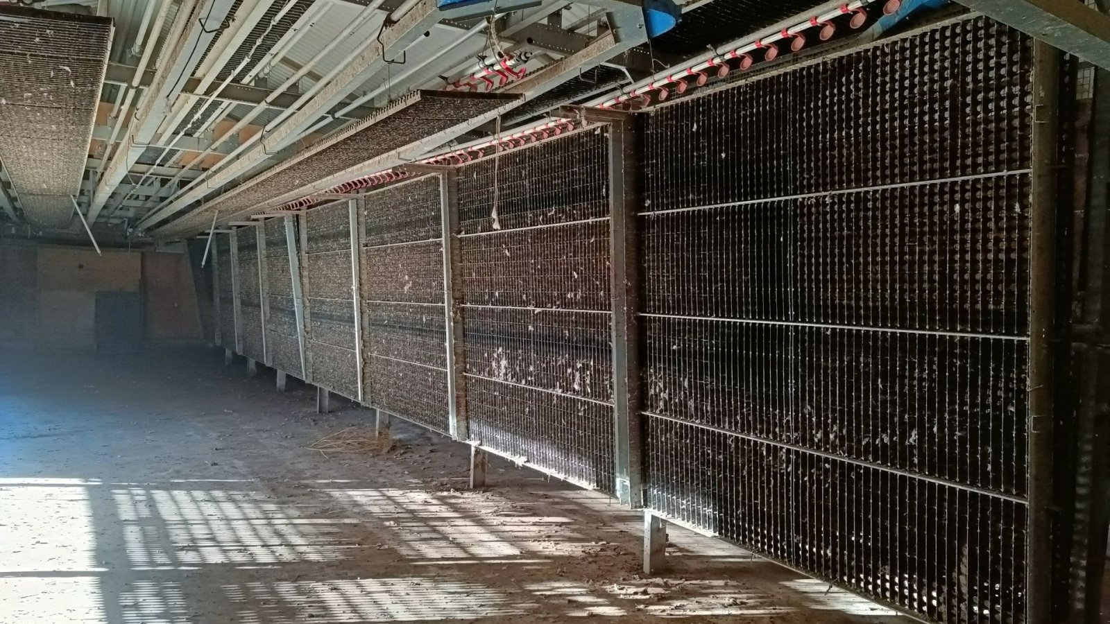 Sonstiges of the type Sonstige Fjerkræ opdrætssytem, (inventar) til  ca. 6500 stk., Gebrauchtmaschine in Egtved (Picture 3)