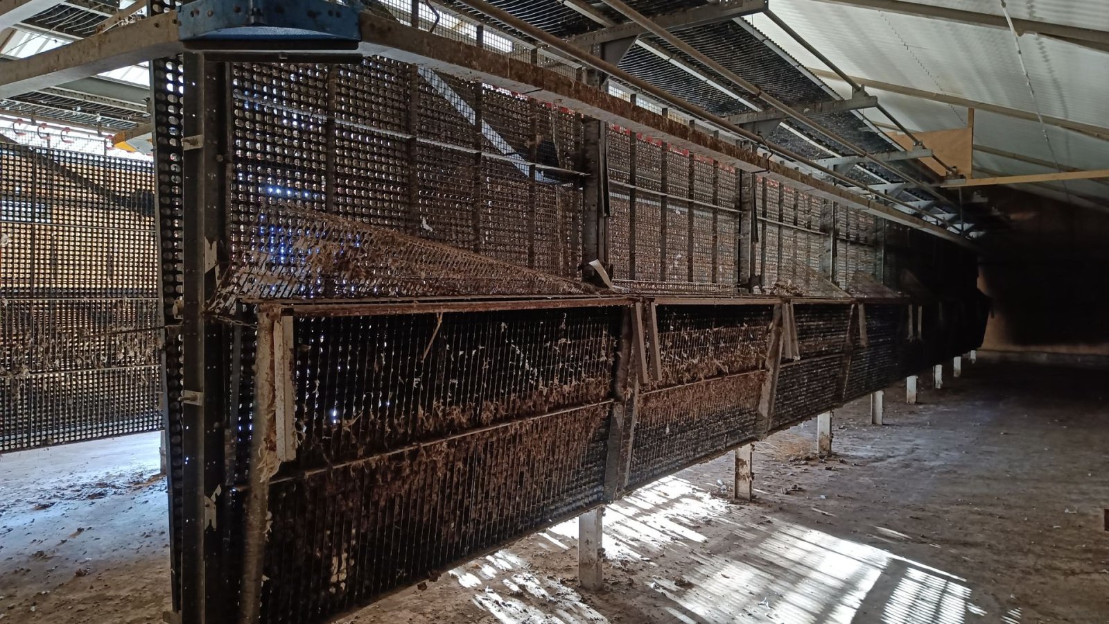 Sonstiges of the type Sonstige Fjerkræ opdrætssytem, (inventar) til  ca. 6500 stk., Gebrauchtmaschine in Egtved (Picture 1)