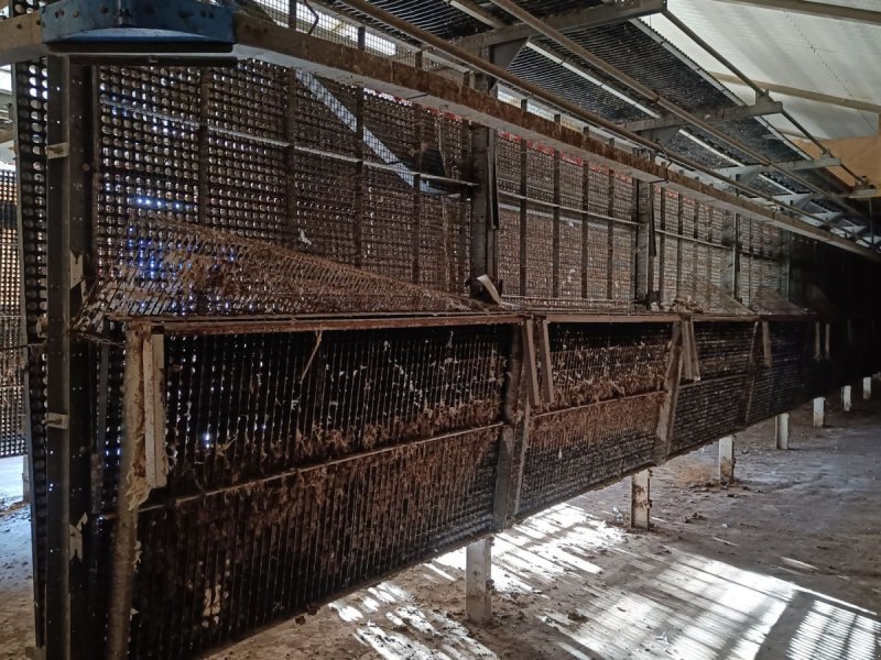 Sonstiges типа Sonstige Fjerkræ opdrætssytem, (inventar) til  ca. 6500 stk., Gebrauchtmaschine в Egtved (Фотография 1)