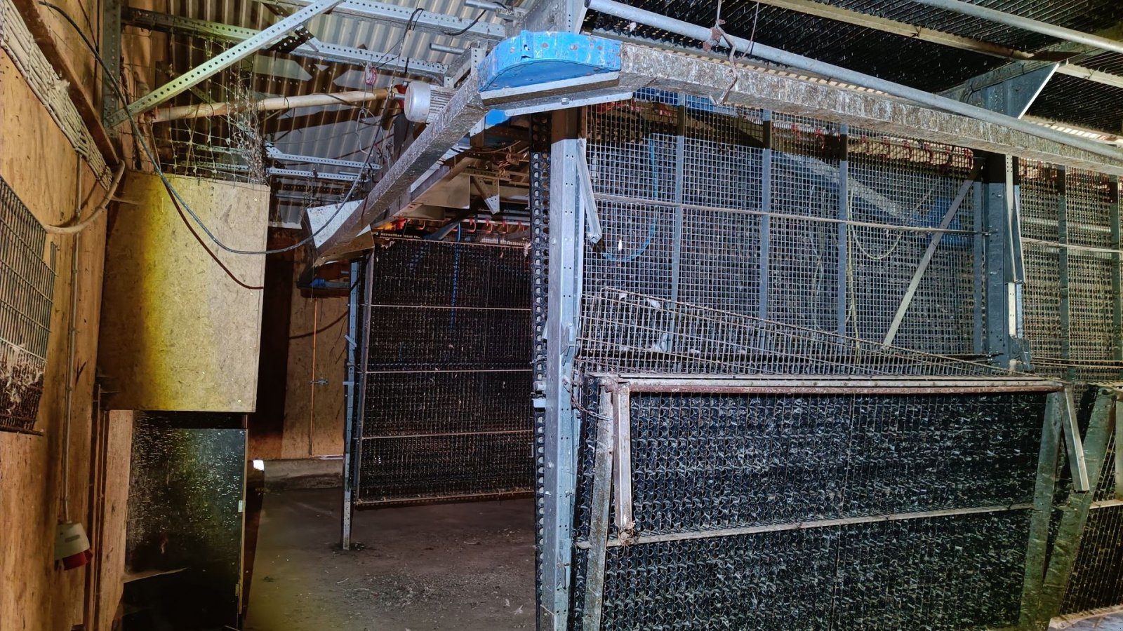 Sonstiges of the type Sonstige Fjerkræ opdrætssytem, (inventar) til  ca. 6500 stk., Gebrauchtmaschine in Egtved (Picture 5)