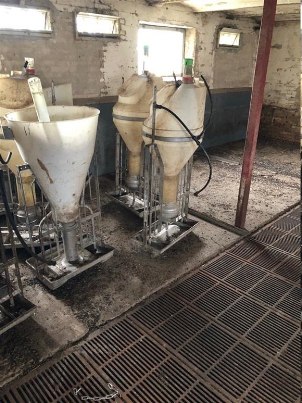 Sonstiges tipa Sonstige Foderautomater - forskellige mærker, Gebrauchtmaschine u Egtved (Slika 2)