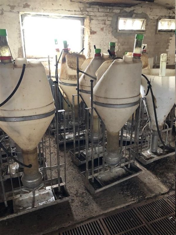 Sonstiges tipa Sonstige Foderautomater - forskellige mærker, Gebrauchtmaschine u Egtved (Slika 1)