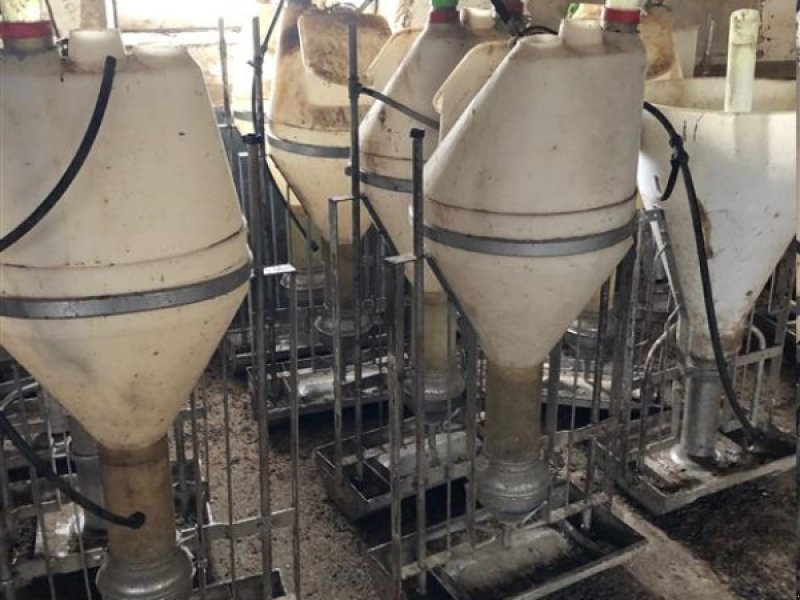 Sonstiges tipa Sonstige Foderautomater - forskellige mærker, Gebrauchtmaschine u Egtved (Slika 1)