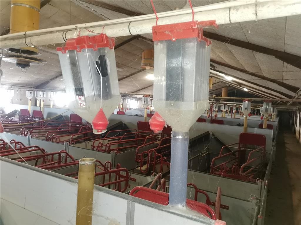 Sonstiges Türe ait Sonstige Foderkasser     6 L   til 48 mm rør, Gebrauchtmaschine içinde Egtved (resim 4)