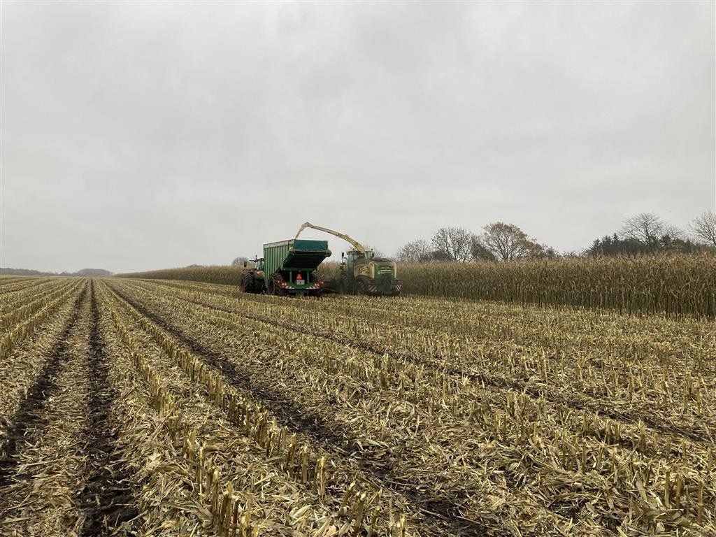 Sonstiges от тип Sonstige Greenloader "Big Volume" Overlæssevogne til græs og majs m.m., Gebrauchtmaschine в Løgumkloster (Снимка 23)