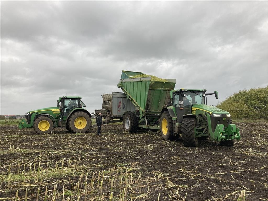 Sonstiges tipa Sonstige Greenloader overlæssevogne til majs, græs og kartofler m.m., Gebrauchtmaschine u Løgumkloster (Slika 13)