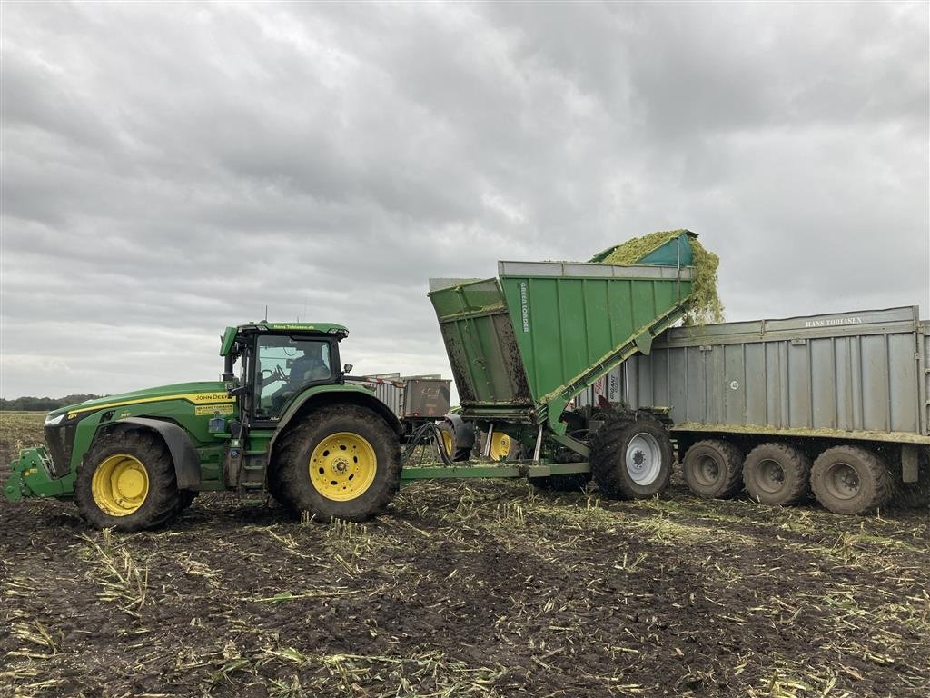 Sonstiges tipa Sonstige Greenloader overlæssevogne til majs, græs og kartofler m.m., Gebrauchtmaschine u Løgumkloster (Slika 19)