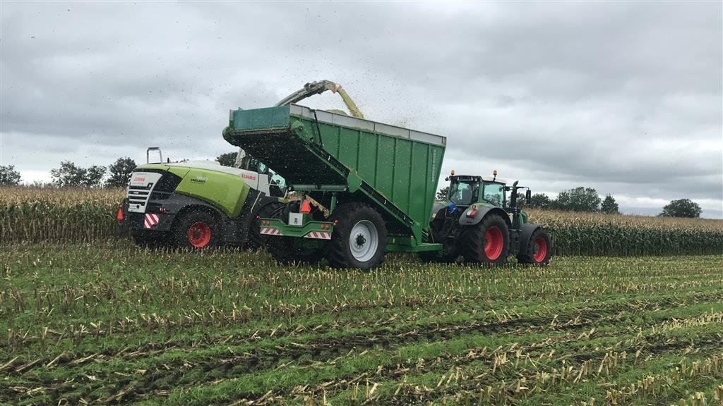 Sonstiges tipa Sonstige Greenloader overlæssevogne til majs, græs og kartofler m.m., Gebrauchtmaschine u Løgumkloster (Slika 16)