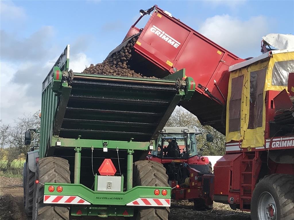 Sonstiges typu Sonstige Greenloader overlæssevogne til majs, græs, roer, kartofler m.m., Gebrauchtmaschine v Løgumkloster (Obrázek 12)
