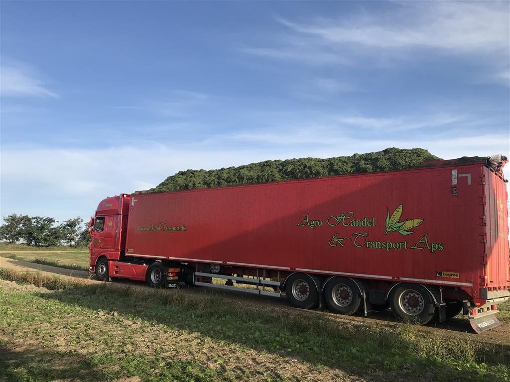 Sonstiges typu Sonstige Greenloader overlæssevogne til majs, græs, roer, kartofler m.m., Gebrauchtmaschine v Løgumkloster (Obrázek 16)