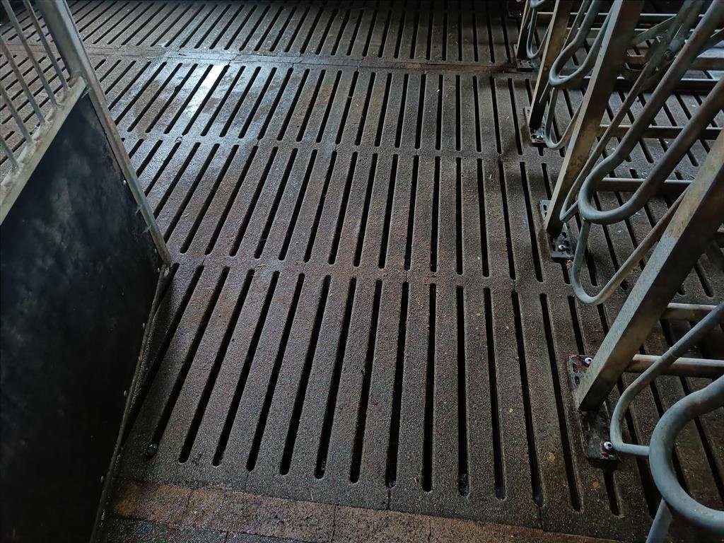 Sonstiges des Typs Sonstige Grise spalter, mål 210 x 33 cm, Gebrauchtmaschine in Egtved (Bild 1)