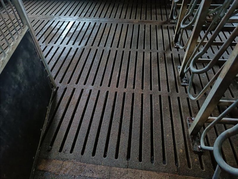 Sonstiges des Typs Sonstige Grise spalter, mål 210 x 33 cm, Gebrauchtmaschine in Egtved (Bild 1)