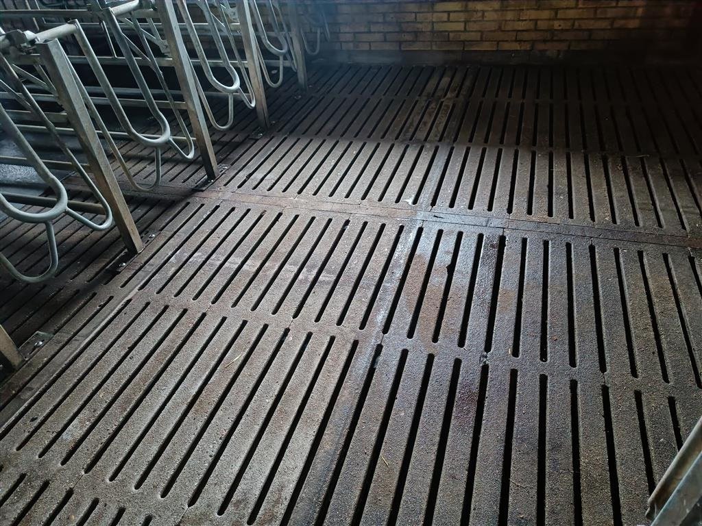 Sonstiges des Typs Sonstige Grise spalter, mål 210 x 33 cm, Gebrauchtmaschine in Egtved (Bild 2)