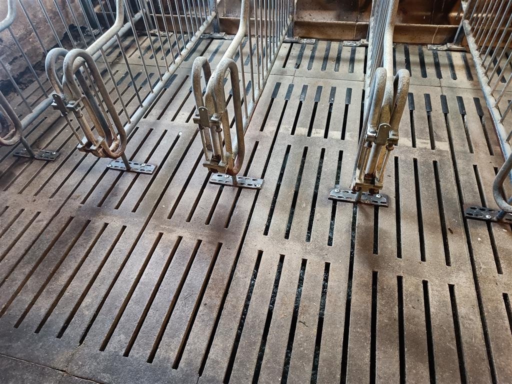 Sonstiges des Typs Sonstige Grise spalter, mål 220 x 50 cm ca. 300 m2, Gebrauchtmaschine in Egtved (Bild 1)