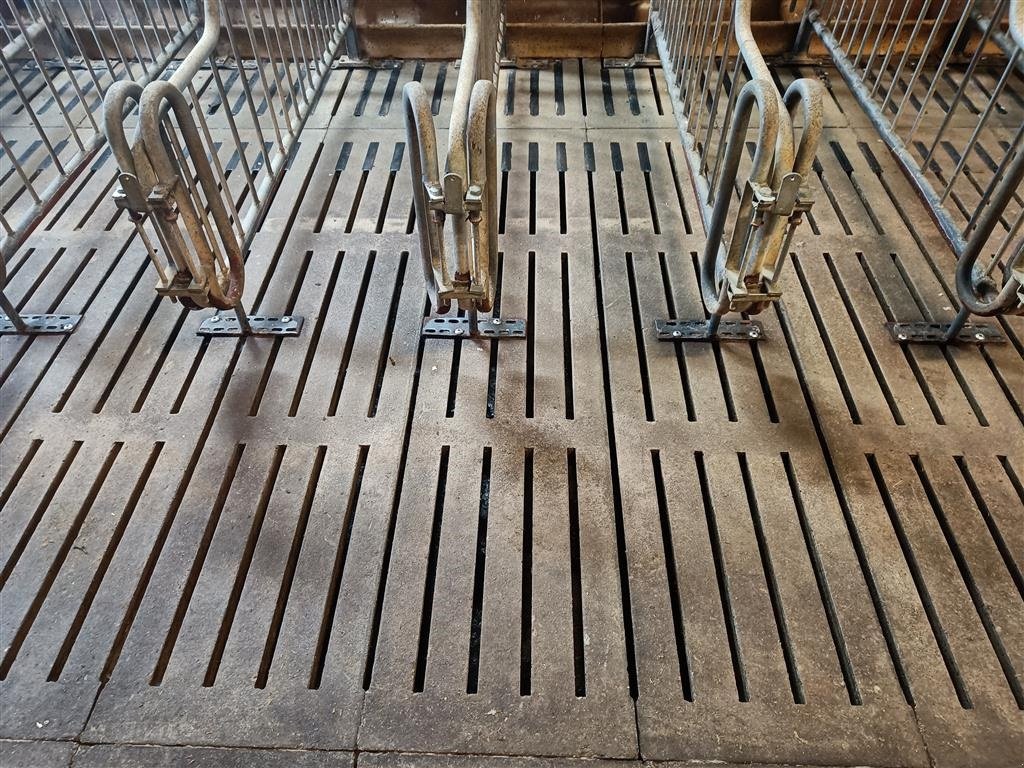 Sonstiges des Typs Sonstige Grise spalter, mål 220 x 50 cm ca. 300 m2, Gebrauchtmaschine in Egtved (Bild 2)