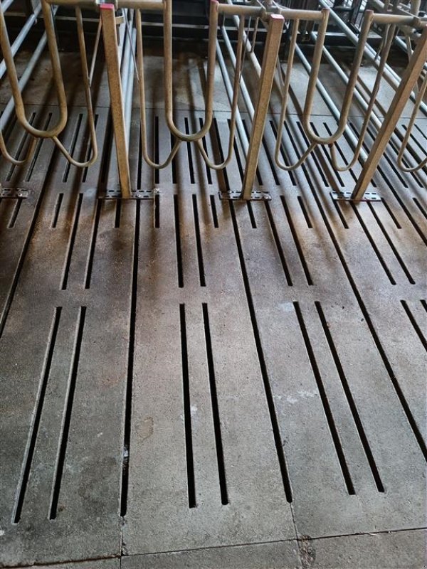 Sonstiges des Typs Sonstige Grise spalter, mål 260 x 50 cm ca. 675 m2, Gebrauchtmaschine in Egtved (Bild 1)