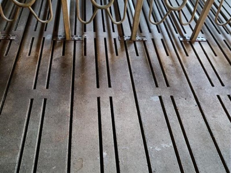 Sonstiges of the type Sonstige Grise spalter, mål 260 x 50 cm ca. 675 m2, Gebrauchtmaschine in Egtved (Picture 1)