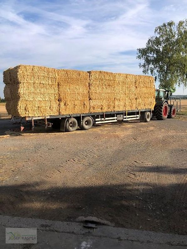 Sonstiges typu Sonstige Heu 1. Schnitt / Ernte 2025 / Stroh, Gebrauchtmaschine v Alitzheim (Obrázek 3)