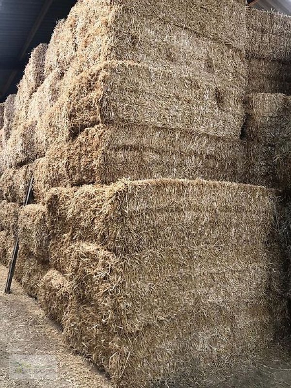 Sonstiges typu Sonstige Heu 1. Schnitt / Ernte 2025 / Stroh, Gebrauchtmaschine v Alitzheim (Obrázek 1)