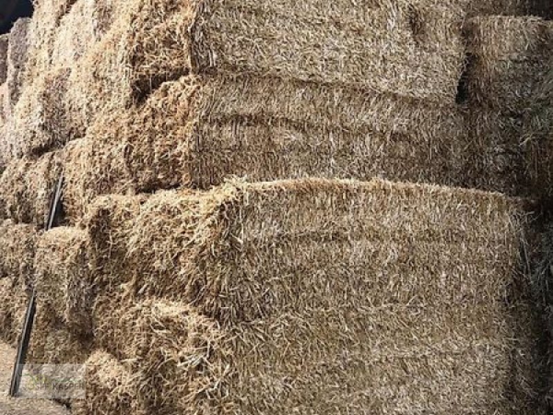 Sonstiges des Typs Sonstige Heu 1. Schnitt / Ernte 2025 / Stroh, Gebrauchtmaschine in Alitzheim (Bild 1)