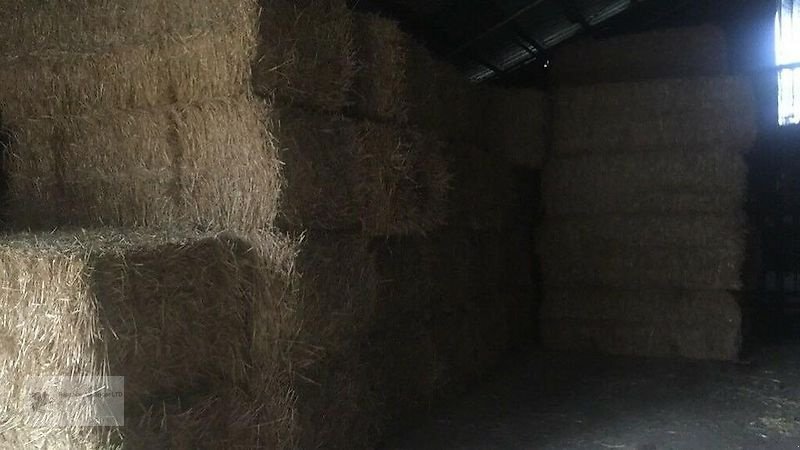 Sonstiges του τύπου Sonstige Heu Stroh Pferdeheu Heuballen Heurundballen Rundballen 2022, Gebrauchtmaschine σε Gevelsberg (Φωτογραφία 5)