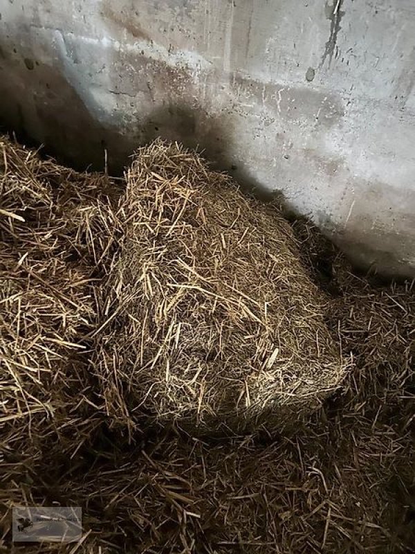 Sonstiges des Typs Sonstige Heuballen KLEIN, Gebrauchtmaschine in Gevelsberg (Bild 2)