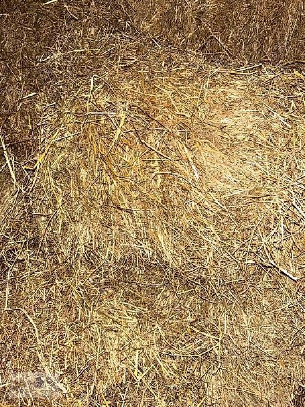 Sonstiges des Typs Sonstige Heuballen KLEIN, Gebrauchtmaschine in Gevelsberg (Bild 1)