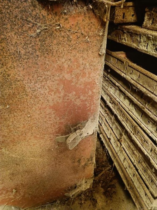 Sonstiges des Typs Sonstige Hovedkanal ca. 7,4 m  flytbar, Gebrauchtmaschine in Egtved (Bild 6)