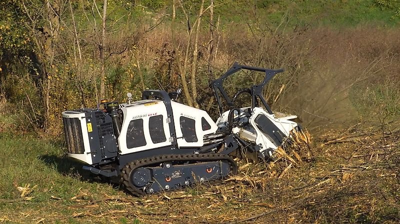 Sonstiges typu Sonstige Hymach 60 LE Funkraupe Geräteträger Mulchraupe Mähraupe Forstraup, Gebrauchtmaschine v Schmallenberg (Obrázek 3)