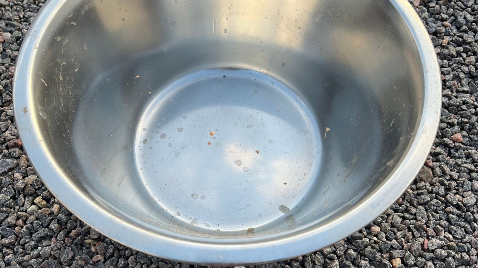 Sonstiges του τύπου Sonstige Kalveskåle, Gebrauchtmaschine σε Egtved (Φωτογραφία 3)