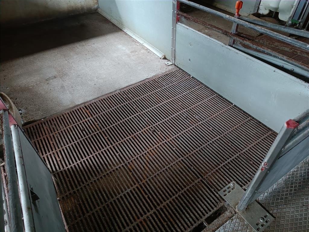 Sonstiges of the type Sonstige klima-/smågrise stier  16 stier MOMSFRI, Gebrauchtmaschine in Egtved (Picture 8)