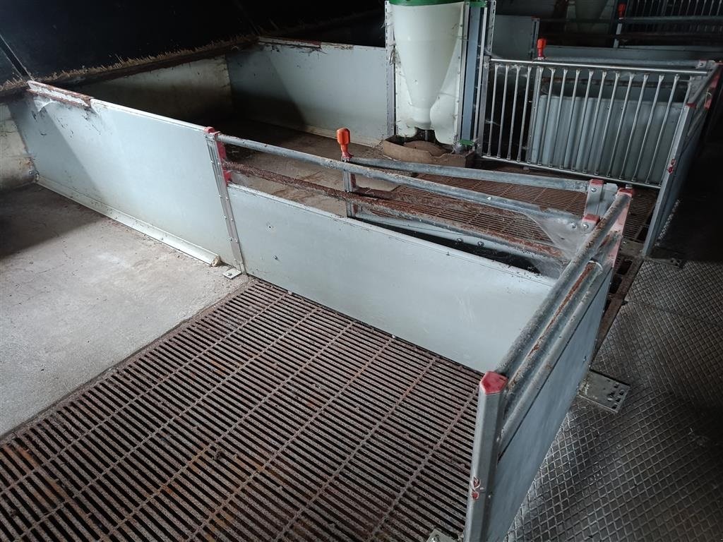 Sonstiges of the type Sonstige klima-/smågrise stier  16 stier MOMSFRI, Gebrauchtmaschine in Egtved (Picture 7)