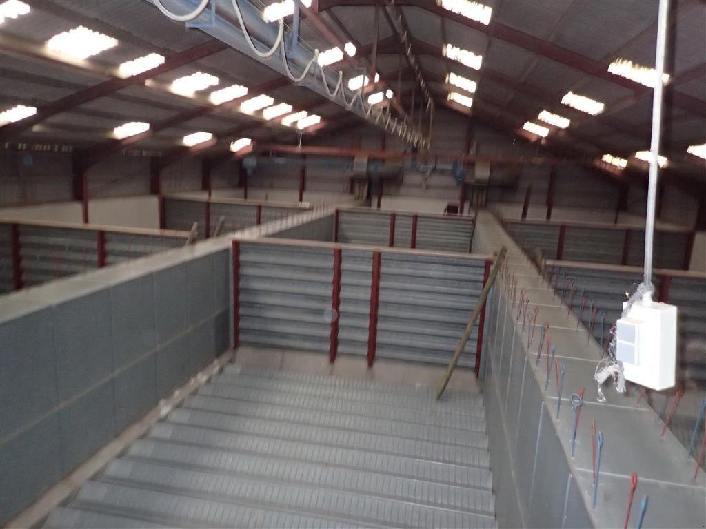 Sonstiges des Typs Sonstige Kongskilde, Kornanlæg til 1000 ton, Gebrauchtmaschine in Egtved (Bild 1)