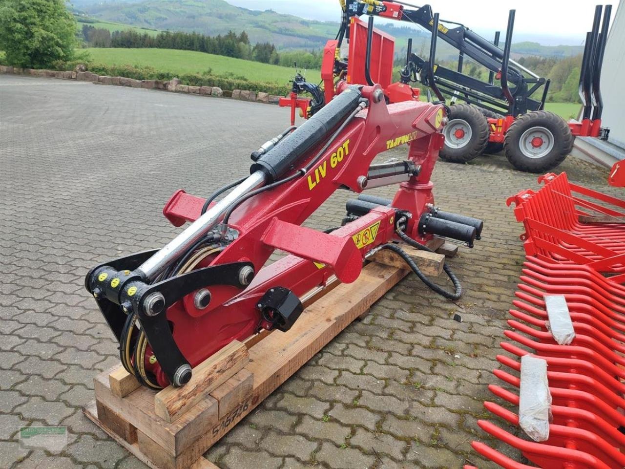 Sonstiges des Typs Sonstige Kran LIV L60T BU, Neumaschine in Kirchhundem (Bild 3)