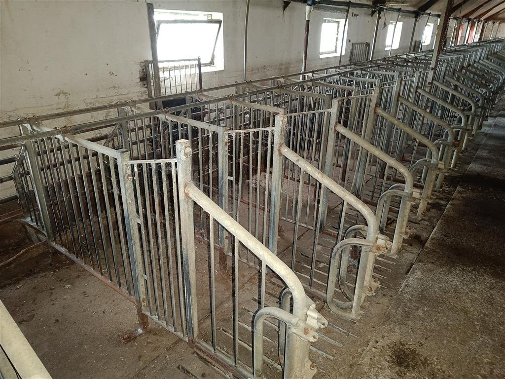 Sonstiges of the type Sonstige Løbestier 100 stk., Gebrauchtmaschine in Egtved (Picture 1)