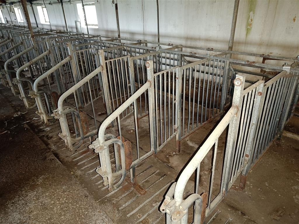 Sonstiges of the type Sonstige Løbestier 100 stk., Gebrauchtmaschine in Egtved (Picture 2)