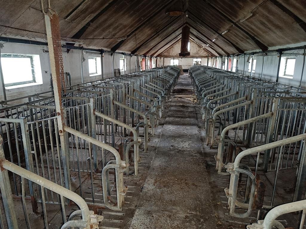 Sonstiges of the type Sonstige Løbestier 100 stk., Gebrauchtmaschine in Egtved (Picture 3)