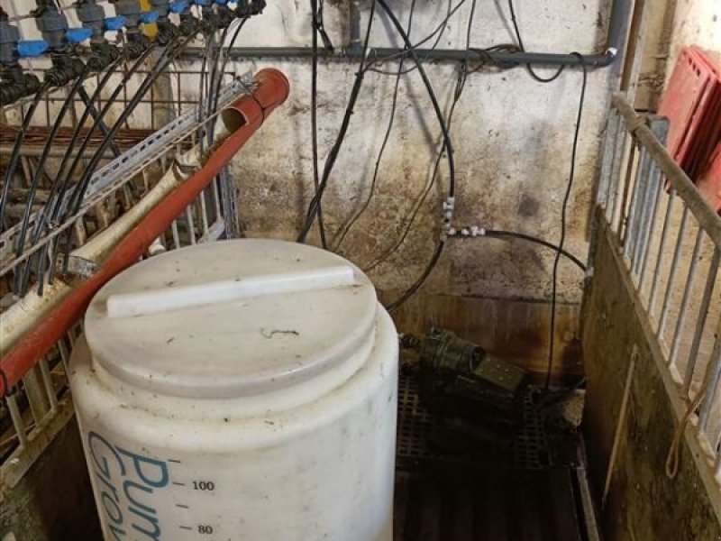 Sonstiges des Typs Sonstige Mælkeanlæg til små grise m. styring og 184 kopper, Gebrauchtmaschine in Egtved (Bild 1)