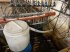 Sonstiges типа Sonstige Mælkeanlæg til små grise m. styring og 184 kopper, Gebrauchtmaschine в Egtved (Фотография 2)
