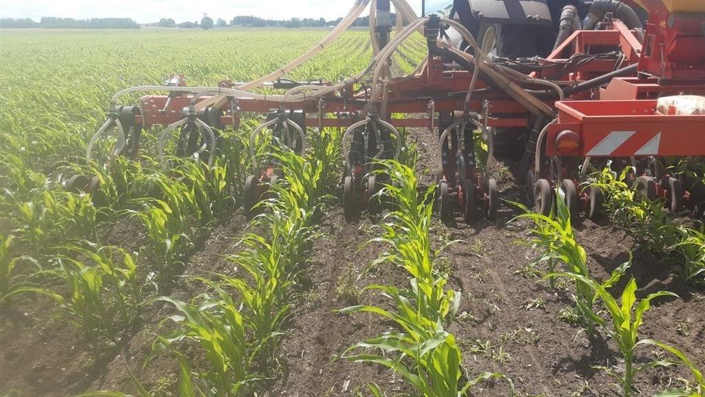 Sonstiges Türe ait Sonstige Nyudviklet frøsåmaskine til majs fra AA maskiner 8-12 rækker med gødning, Gebrauchtmaschine içinde Vojens (resim 3)