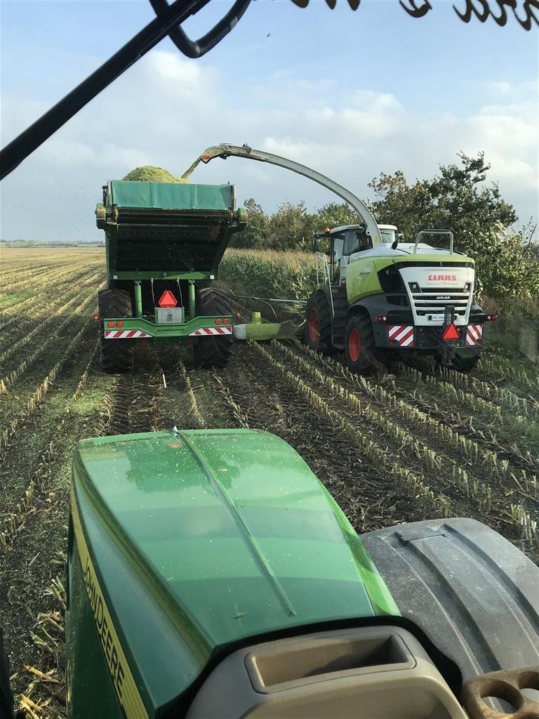 Sonstiges του τύπου Sonstige Overlæsning af græs og majs med letvægts pendulvogne., Gebrauchtmaschine σε Løgumkloster (Φωτογραφία 11)