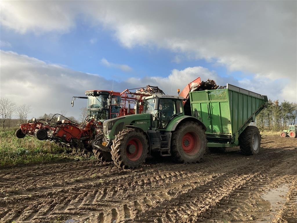 Sonstiges του τύπου Sonstige Overlæsning af græs og majs med letvægts pendulvogne., Gebrauchtmaschine σε Løgumkloster (Φωτογραφία 18)