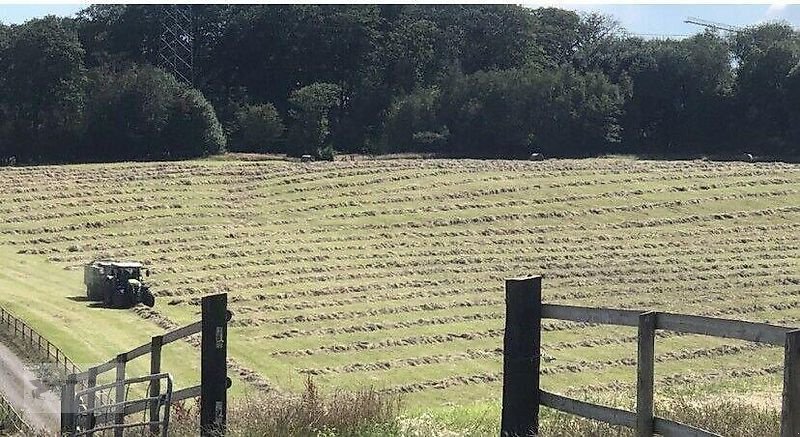 Sonstiges of the type Sonstige Pferdeheu Heu Heurundballen aus der Region mit Liebe produziert!, Gebrauchtmaschine in Gevelsberg (Picture 13)