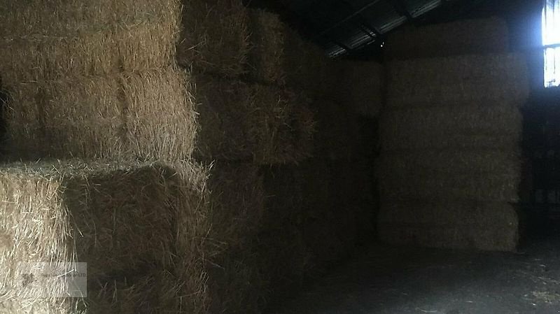 Sonstiges of the type Sonstige Pferdeheu Heu Heurundballen aus der Region mit Liebe produziert!, Gebrauchtmaschine in Gevelsberg (Picture 11)