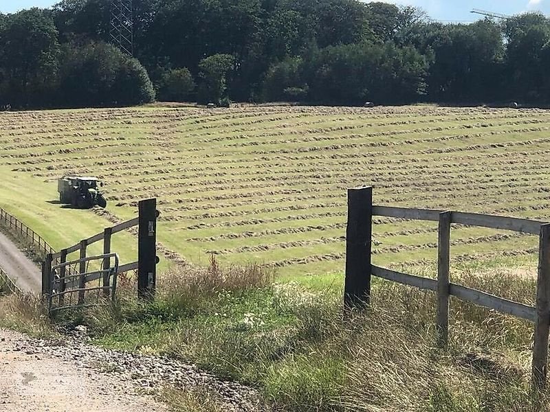 Sonstiges of the type Sonstige Pferdeheu Heu Heurundballen aus der Region mit Liebe produziert!, Gebrauchtmaschine in Gevelsberg (Picture 14)