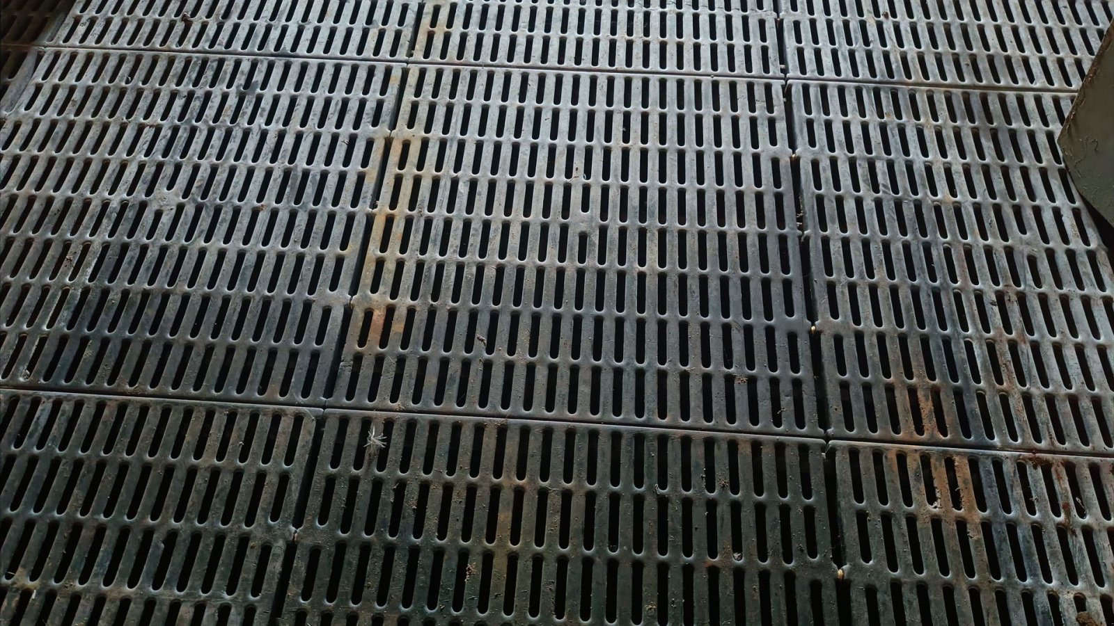 Sonstiges des Typs Sonstige Plastikspalter 62x62 cm, Gebrauchtmaschine in Egtved (Bild 1)