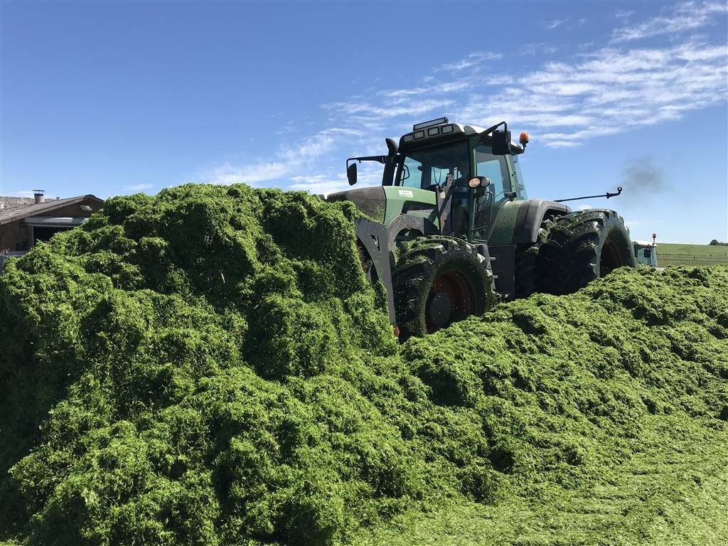 Sonstiges Türe ait Sonstige ProDig Afskubberfork / Silosvans op til 4m bredde., Gebrauchtmaschine içinde Løgumkloster (resim 4)