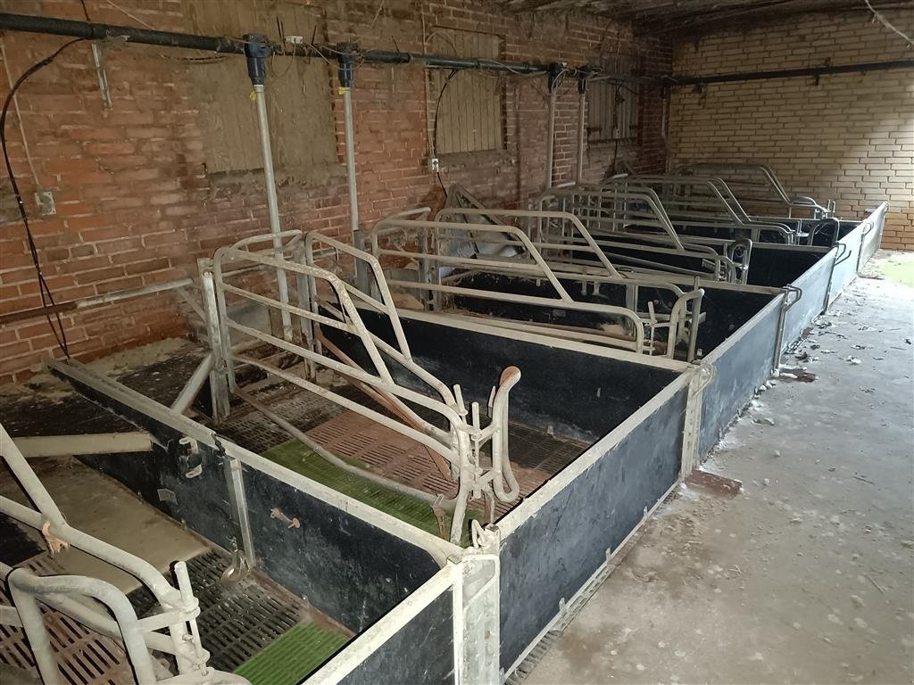 Sonstiges του τύπου Sonstige Sdr Vissing  Farestier 36 stk., Gebrauchtmaschine σε Egtved (Φωτογραφία 5)