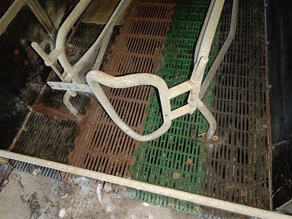 Sonstiges του τύπου Sonstige Sdr Vissing  Farestier 36 stk., Gebrauchtmaschine σε Egtved (Φωτογραφία 4)