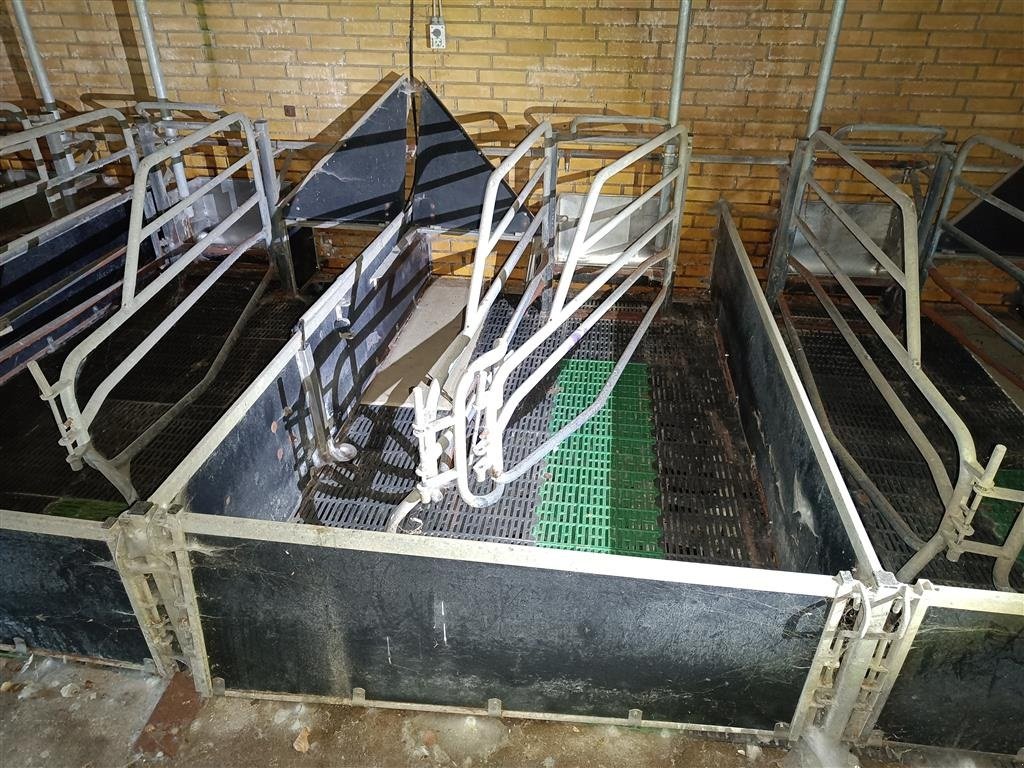 Sonstiges του τύπου Sonstige Sdr Vissing  Farestier 36 stk., Gebrauchtmaschine σε Egtved (Φωτογραφία 1)